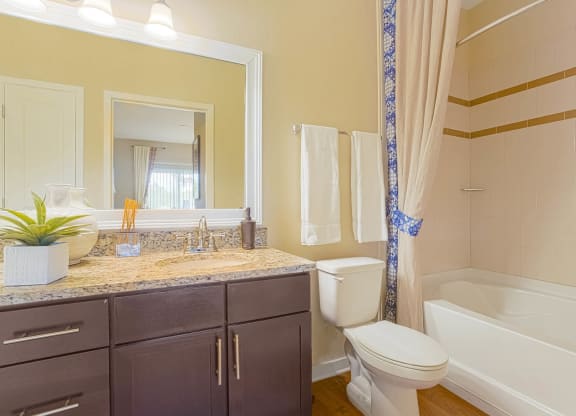 Reserves at Alafaya apartments bathroom