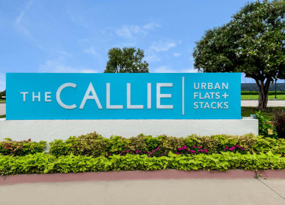 The Callie apartments Dallas, TX 75243