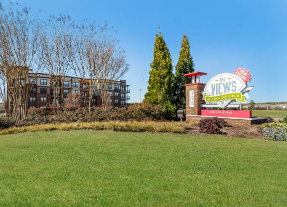 Views at Coolray Field apartments Lawrenceville, GA  30043