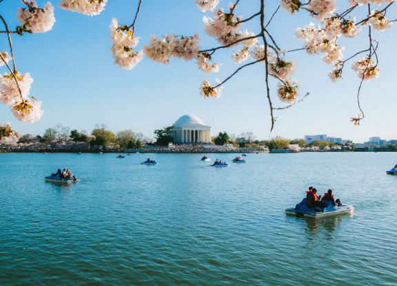 people on boats on a lake in front of the jefferson memorial
