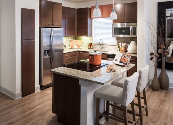 Gourmet Kitchen with Granite Countertops at Berkshire Medical District, Dallas