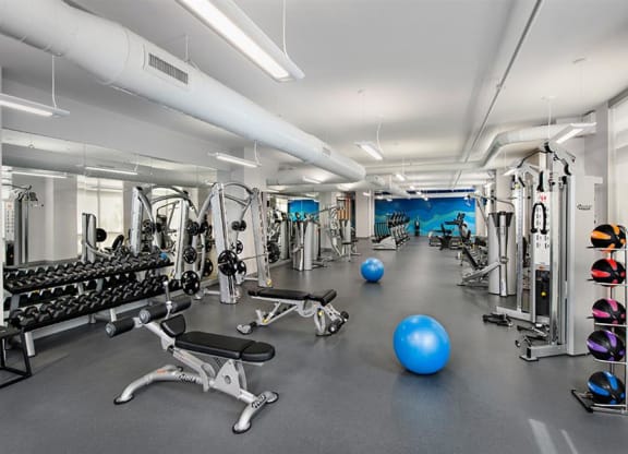Fitness Center With Modern Equipment at Berkshire Lauderdale by the Sea, Ft. Lauderdale