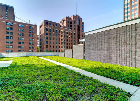 Green Roof at 805 N. Lasalle Drive, Chicago