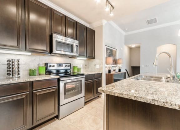 Granite Countertop Kitchen at Villages of Briggs Ranch, San Antonio, TX, 78245