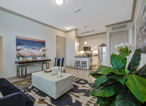 Indoor plants in living room at Park at Bayside, Texas, 75088