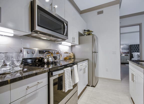 Kitchen appliances and cabinets at Park at Bayside, Rowlett