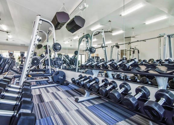 Free Weights In Gym at Villages of Georgetown, Georgetown, TX