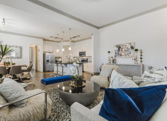 Gorgeous Living Room at Villages of Georgetown, Georgetown, 78626