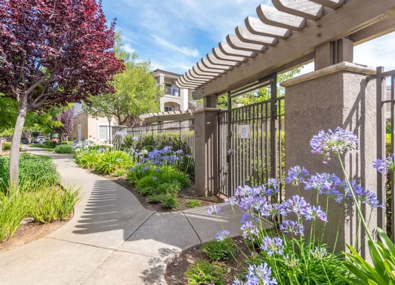 Lush landscape entry to pool