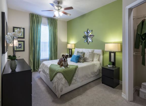 Beautiful Bright Bedroom With Wide Windows at Wyndchase Aspen Grove, Franklin