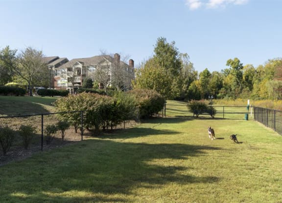Dog Park at Wyndchase Aspen Grove, Franklin, Tennessee