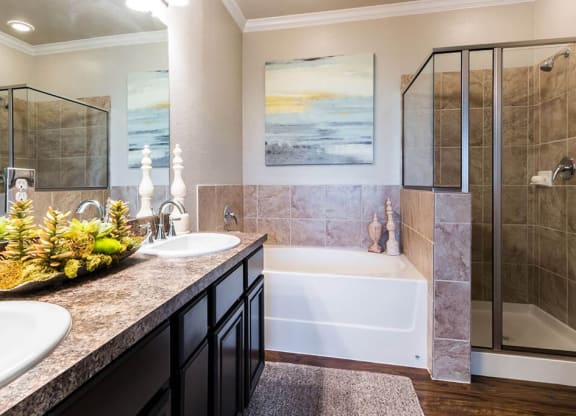 Walk-In Showers And Garden Tubs at Villages of Briggs Ranch, San Antonio, TX