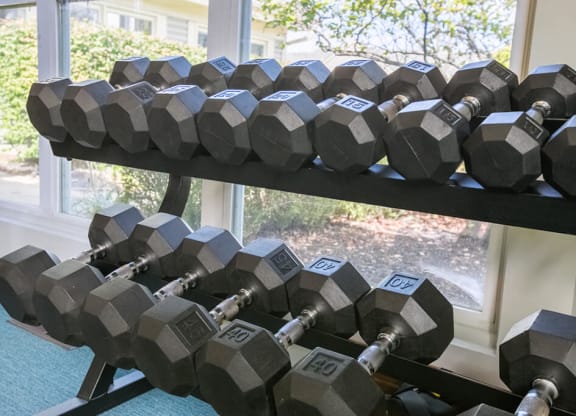 Free Weights at Perimeter Lakes Apartments, Dublin, Ohio