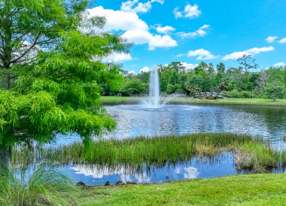 view of the lake with a fountain at The Reserves at Alafaya apartments