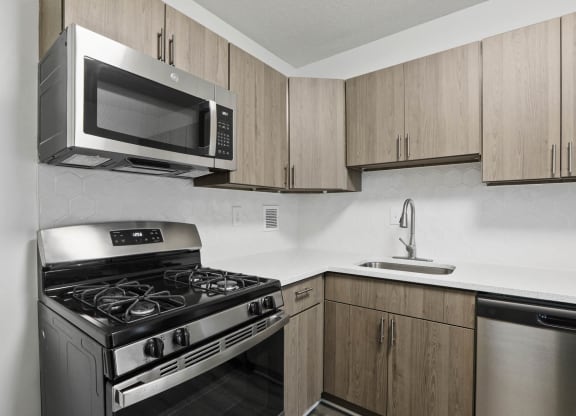 Skyline Towers apartments modern kitchen