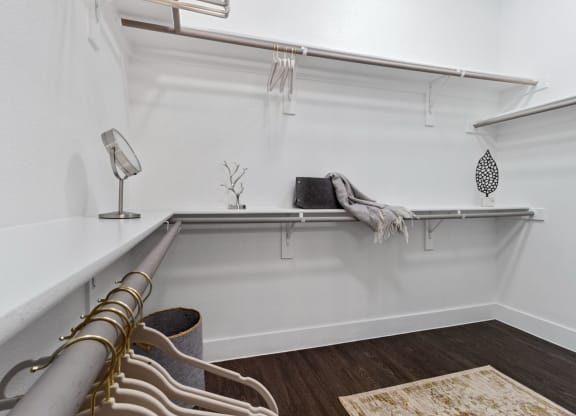 Closet at Reveal Skyline s at La Cantera, Texas, 78256