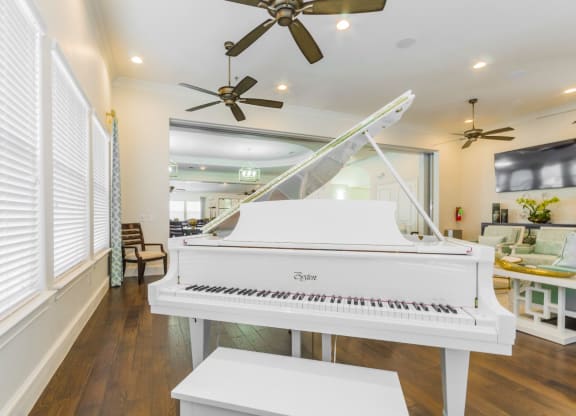 Piano at Retreat at Wylie, Wylie, 75098