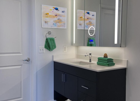 a bathroom with a sink and a mirror at The Millennium, Arlington, VA