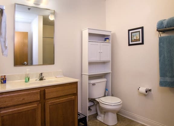 Bathroom at the Lofts at 5 Lyon, in downtown Grand Rapids, MI