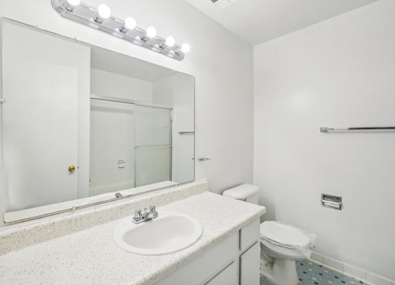 One Bedroom Apartment in Southfield, MI. Spacious bathroom.