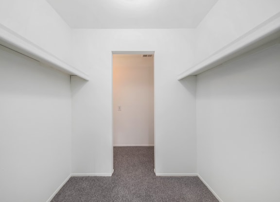 Spacious walk in closet