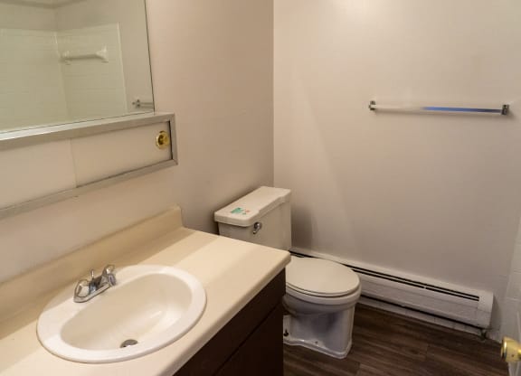 Bathroom at Golf Manor Apartments in Roseville, Michigan