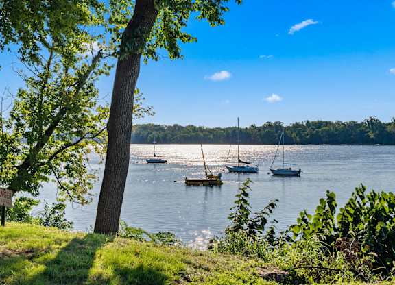 A serene lake with boats and trees in the background.