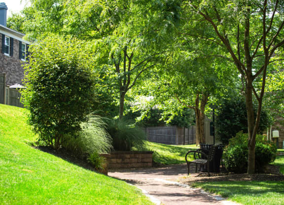 a walkway with trees and a bench in a park at Chestnut Hill Village, Pennsylvania