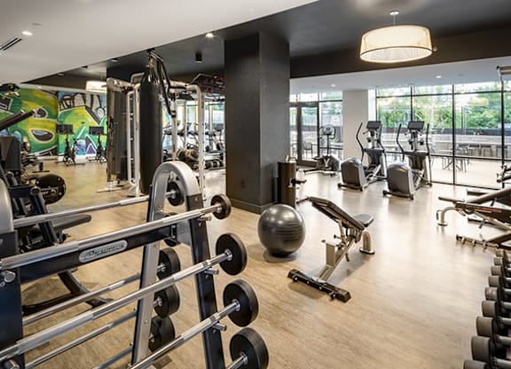 A gym with a variety of equipment including weights and a rowing machine.