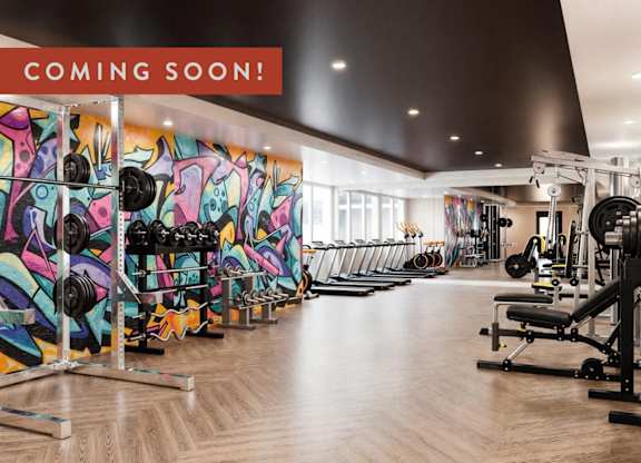 A gym with a variety of equipment is under construction.