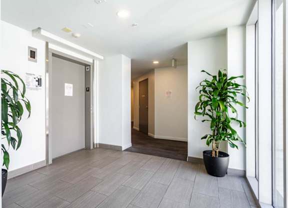 A hallway with a plant on the right and a door on the left.
