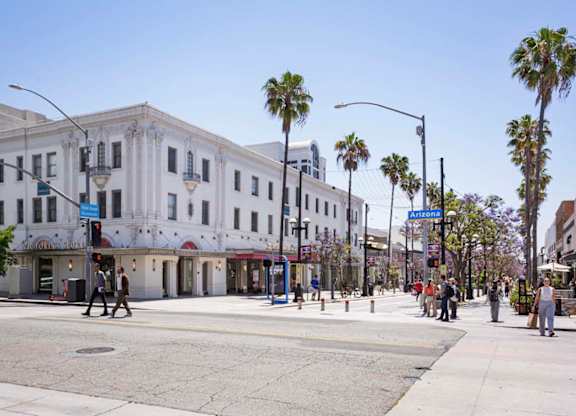 A street scene with a crosswalk and palm trees.