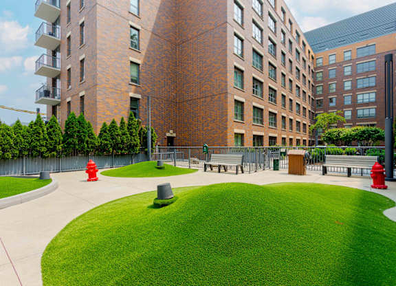 a grassy area for a dog park