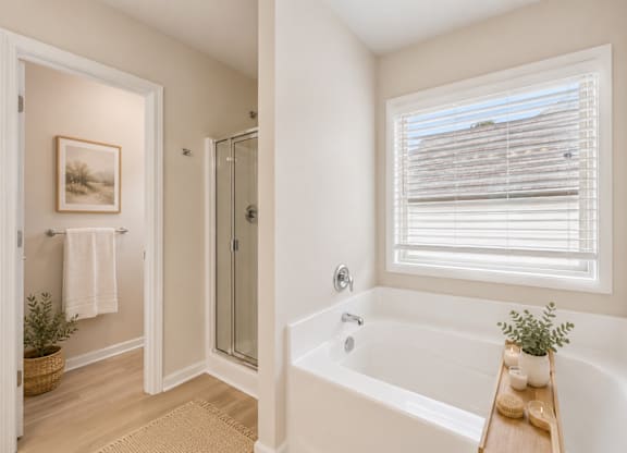 Luxurious primary bathroom featuring a soaking tub and spacious walk-in shower.