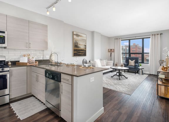 West-Loop-Chicago-Apartments-The Madison at Racine-Interior-Kitchen-and-Living-Room  at The Madison at Racine, Chicago