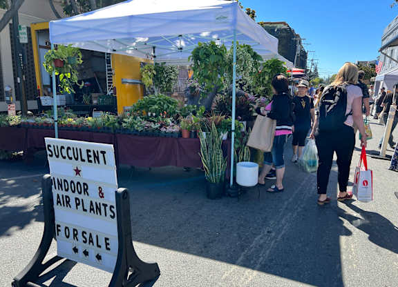 A white tent with a sign that says Succulent Indoor & Air Plants for Sale.