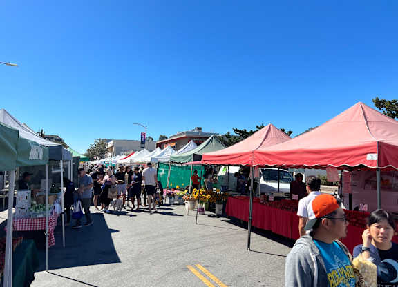 A street fair with people walking around and buying things.
