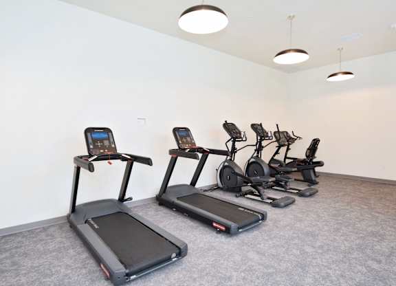 A row of treadmills and exercise bikes are lined up in a gym.