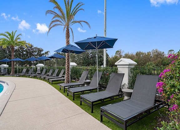 a row of lounge chairs and umbrellas next to a pool