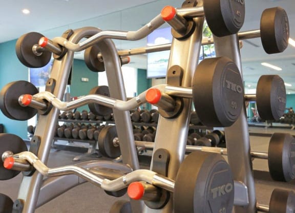 a row of weights in a gym