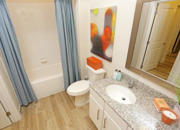 a bathroom with a toilet and a sink and a mirror