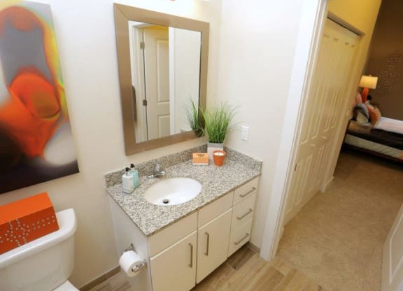 a bathroom with a sink and a mirror and a toilet