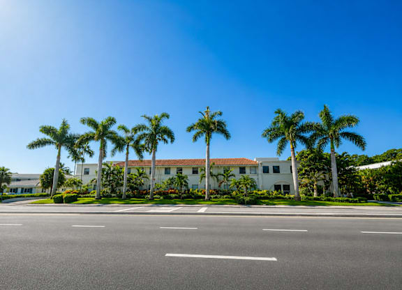 A row of palm trees line the front of a white building.