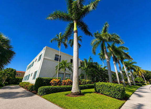 A white building with a palm tree in front.