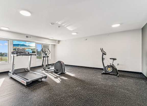 A spacious gym with a treadmill, exercise bike, and weights.