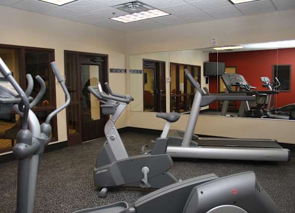 A gym with treadmills and elliptical machines.