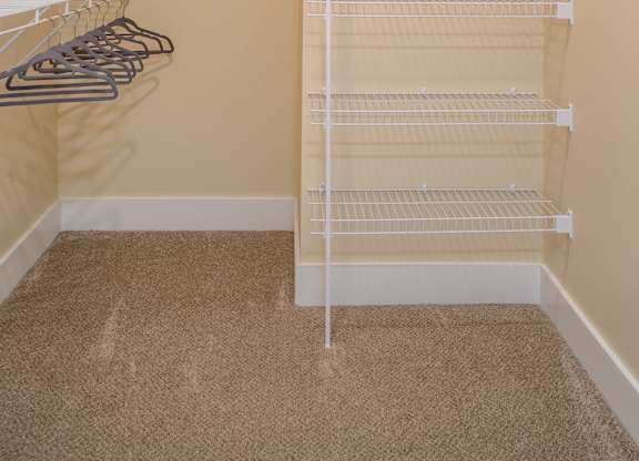 Walk-In Closet at Hathaway Meadows in Farmington, NY, 14425
