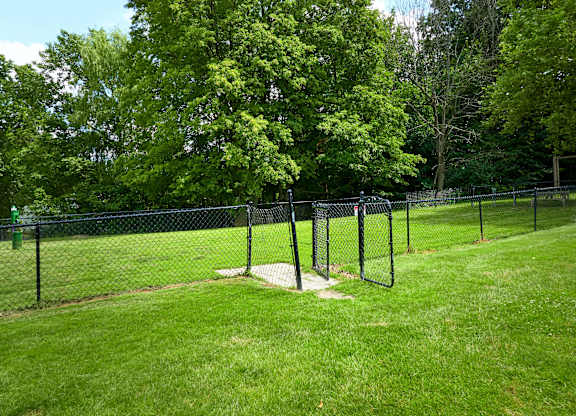 A green field with a fence and trees in the background.