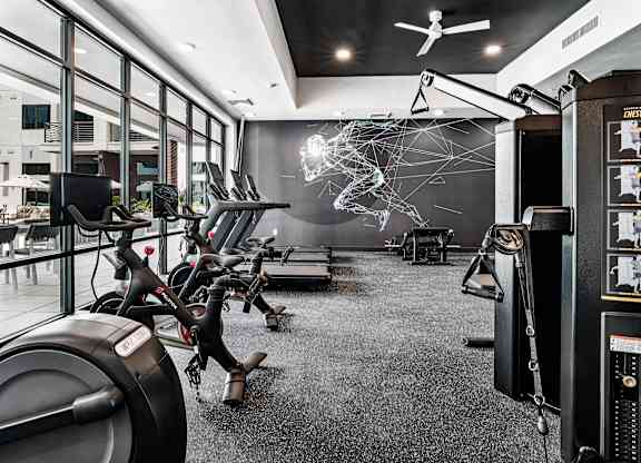A gym with a variety of exercise equipment including treadmills, stationary bikes, and weight machines.