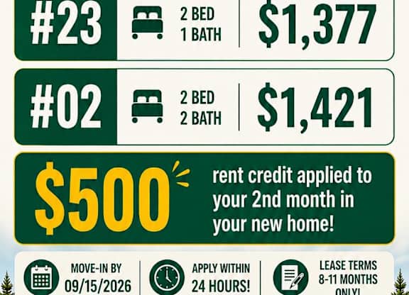A promotional image for Silver Pines advertising discounted pricing on hot units.